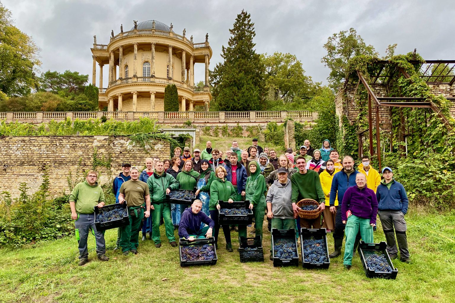 Unsere Mitarbeiter Königlicher Weinberg